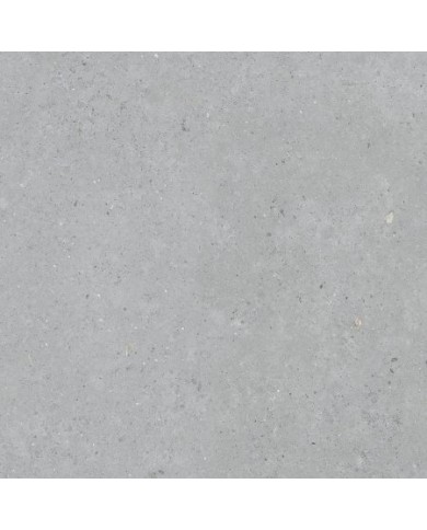 Gres porcellanato 60 X 120 Rettificato - Serie Biophilic