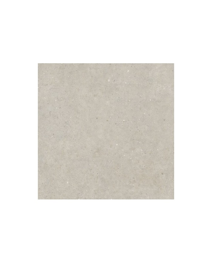 Gres porcellanato 60 x 60 - Serie Biophilic 20mm