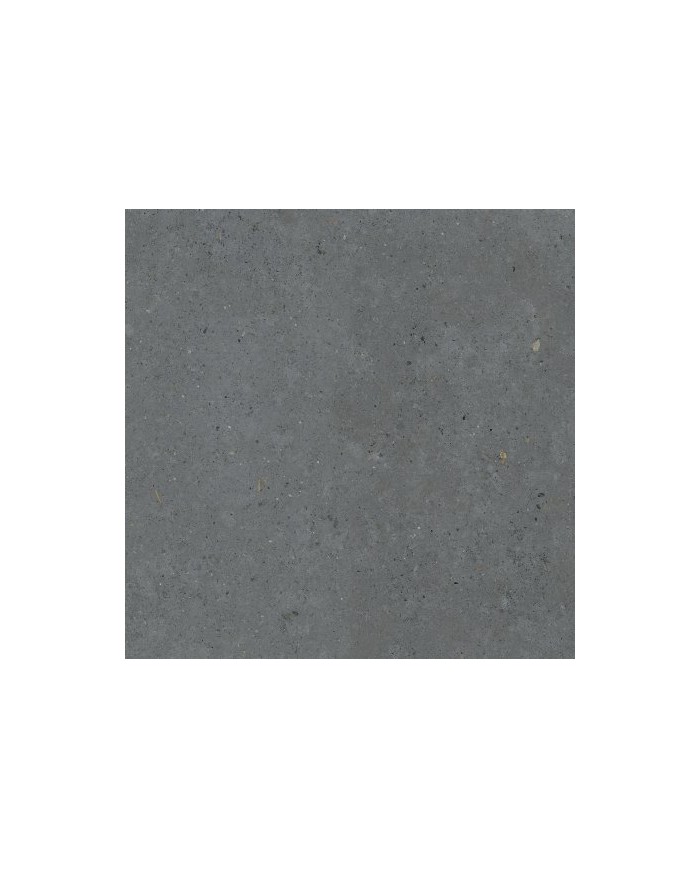 Gres porcellanato 20 X 120 Rettificato - Serie Biophilic