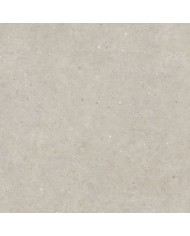 Gres porcellanato 20 X 120 Rettificato - Serie Biophilic