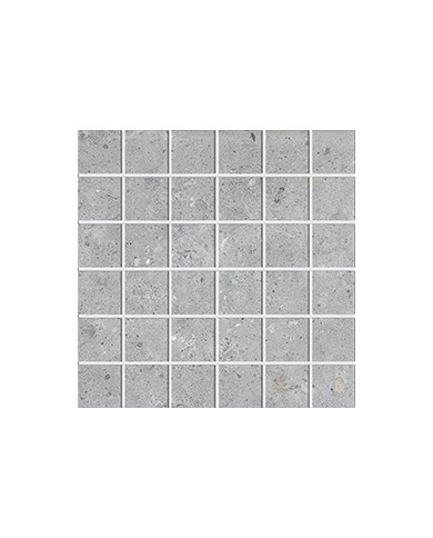 Gres porcellanato 30 X 30 Mosaico - Serie Biophilic