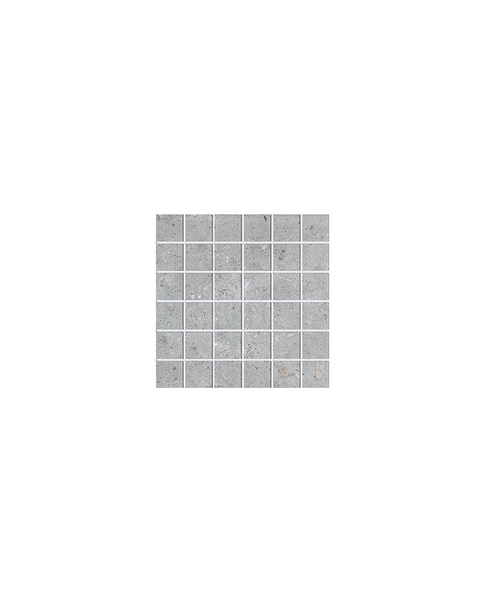 Gres porcellanato 30 X 30 Mosaico - Serie Biophilic