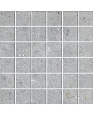 Gres porcellanato 30 X 30 Mosaico - Serie Biophilic