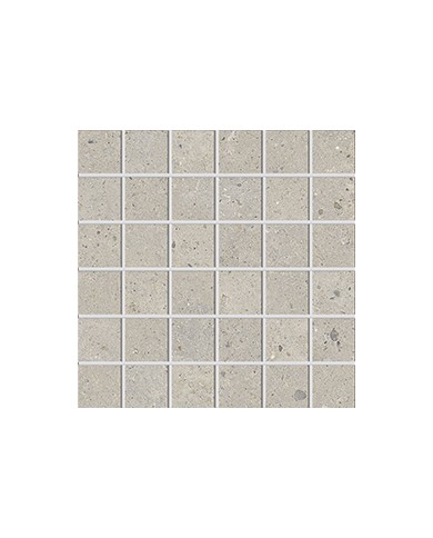Gres porcellanato 30 X 30 Mosaico - Serie Biophilic