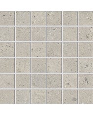 Gres porcellanato 30 X 30 Mosaico - Serie Biophilic