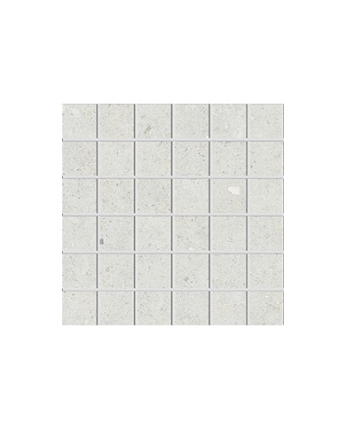 Gres porcellanato 30 X 30 Mosaico - Serie Biophilic