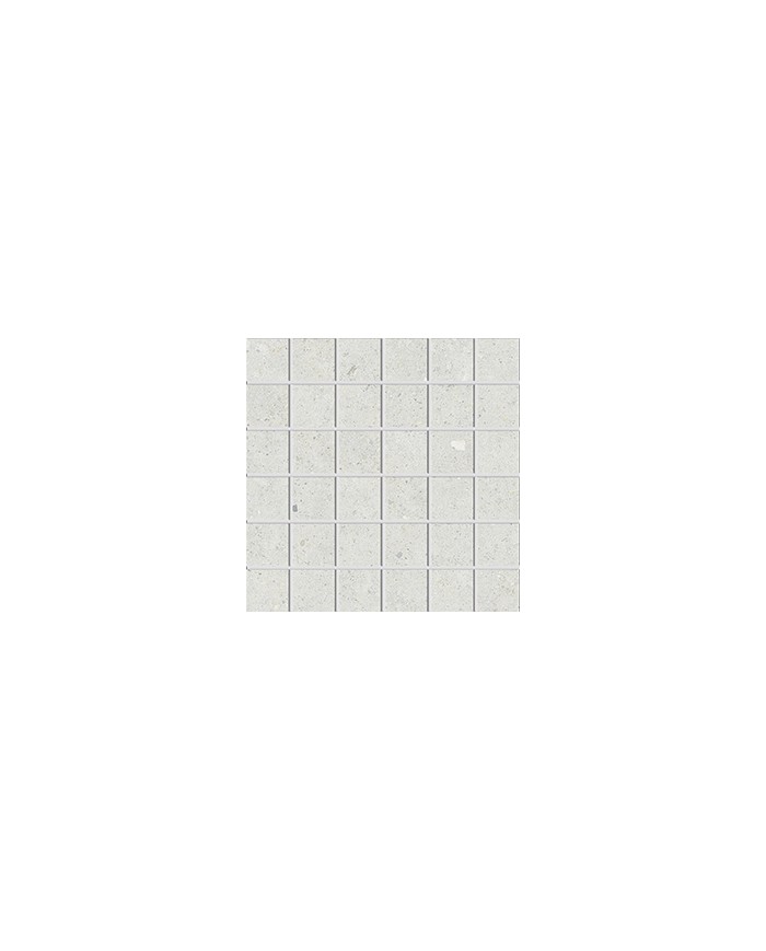Gres porcellanato 30 X 30 Mosaico - Serie Biophilic