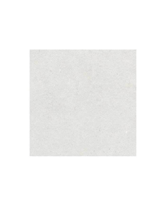 Gres porcellanato 30 X 60 Rettificato - Serie Biophilic