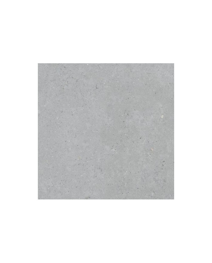 Gres porcellanato 30 X 60 Rettificato - Serie Biophilic