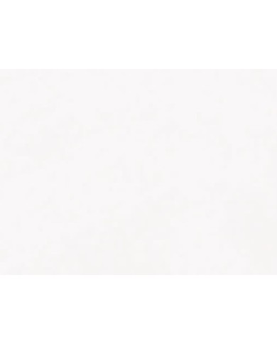 Vasca bianca 170 x 77 con piedi, colonna e sifone di scarico - Serie Retrò