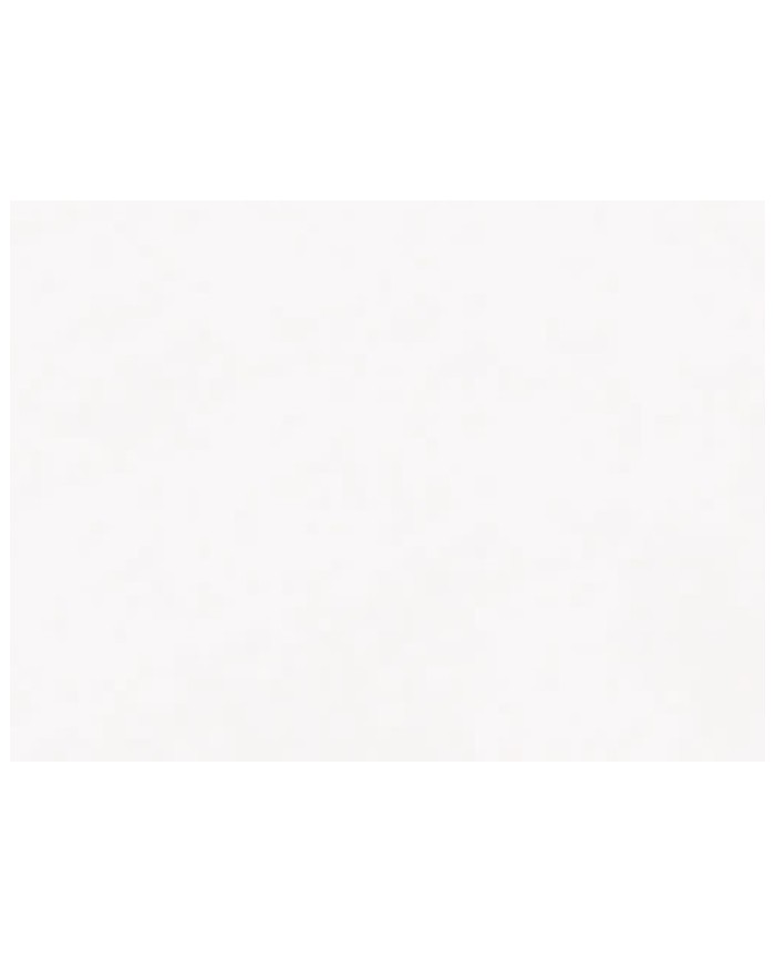 WC filo muro monoblocco completo di fissaggio WB9N - Serie Tribeca / FLO