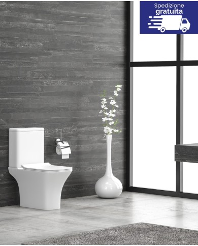 WC Rimless Filo muro con cassetta uscita verticale - Serie Natalia 1215